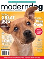 Modern Dog
